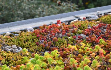 the cost of Burroughs Grove green roof installation