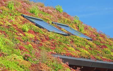 Burroughs Grove living roof systems